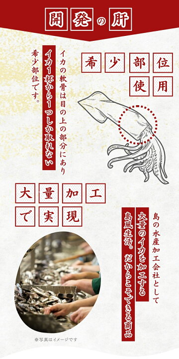 楽天市場】スルメイカ軟骨の玄米粉唐揚げ400g スルメイカ イカ軟骨 唐 