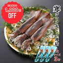 【1,000円OFF！7/9・7/10限定特価】【大サイズ3杯】【胴だけで25cm前後】寒シマメ丸ごと凍結（1杯約300g）スルメイカ 烏賊 お刺身 いかそうめん 冷凍 国産 寒シマメ 肝 うり いかわた 塩辛 島根 隠岐 新鮮 産地直送 ギフト 島風生活 海士町 CAS