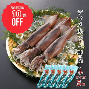 y10%OFFI12/4()20`SALEłēzyTCY5tv800gzy20cmOzV}ۂƓi1t160gjXCJ G hg ܂  킽  ߂ Ⓚ 