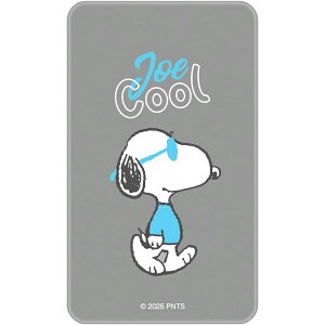 ピーナッツ スヌーピー スマ冷え Premium SNGG-117