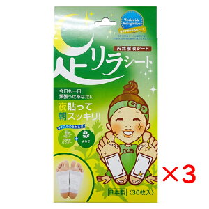 ̌b V[g VRtV[g |t  M tbgPA 30 