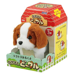 A[ebN gRgR邭 Ȃ悵r[O   ߋ  dr 049187 