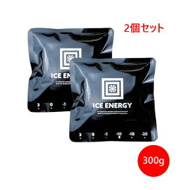 アトム技研 アイスエナジー アルミソフトケース 300g 2個セット -10℃ 頑丈 保冷 アイシング アウトドア キャンプ アルミ素材 おしゃれ ソフトケース 災害 停電 送料無料