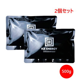 アトム技研 アイスエナジー アルミソフトケース 500g 2個セット -10℃ 頑丈 保冷 アイシング アウトドア キャンプ アルミ素材 おしゃれ ソフトケース 災害 停電 送料無料