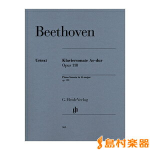 y x[g[F : sAmE\i^ 31 σC Op.110/T ^ wЁi}nj