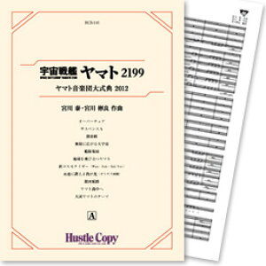 y HCB-116 F̓}g2199 }gyc厮T2012 (1)(2) ^ nbXRs[