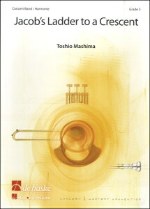 y UN308 A Oɉ˂郄Rû͂ ^ Pbg~[WbN