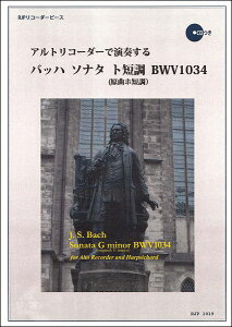 y RPAgR[_[ŉtobn\i^gZBWV1034 ^ R[_[JP