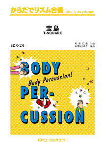 y BDR24 炾ŃYt 󓇁^T|SQUARE ^ ~[WbNGCg