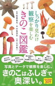 茩킯ώ@yނ̂} ^ ic