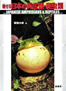 ��������{�̗����ށE঒��� �^ �Ώ��[