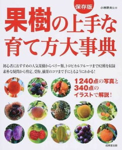 ʎ̏Ȉĕ厖T ^ o