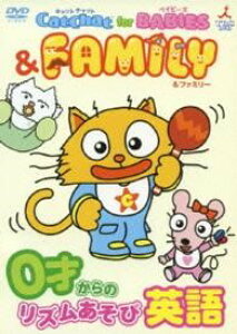 DVD CatChatforBabies o߁iTBSAiET[jA}V[ ^ RrA~[WbN