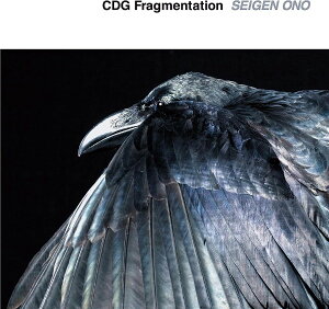 CD CDGFragmentationiCD SEIGENONO ^ RrA~[WbN