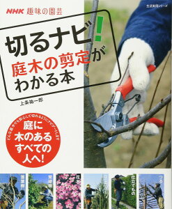 NHK̉| ؂irI ؂̙肪킩{ ^ NHKo