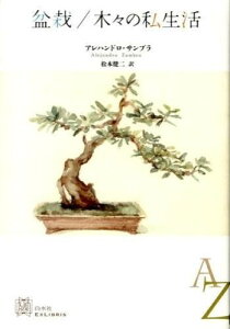 �~�́^�؁X�̎����� �^ ������