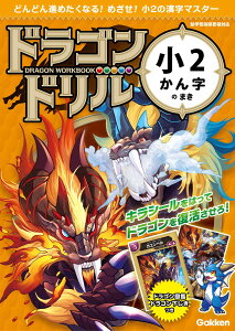 hSh 2񎚂̂܂ ^ ()wvXmЁn