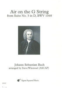 �y�� IEST933 �A�� G����̃A���A�i�o�b�n�j�i���y�l�d�t�j�yAirontheGString�z �^ �~���[�W�b�N�G�C�g