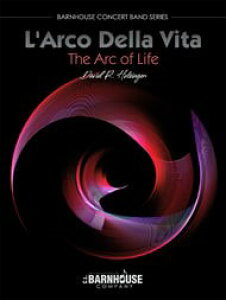 y UN1415 A stytREfEB^iLfArco Della Vitaj zWK[iHolsingerjyAz ^ Pbg~[WbN