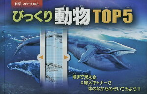 びっくり動物TOP5 / (株)大日本絵画