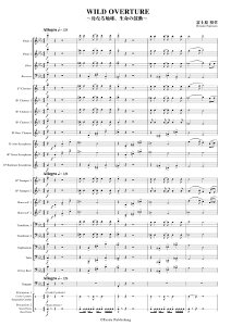 �y�� �X�^�f�B�X�R�A ���t�y�^WILD OVERTURE�`��Ȃ�n���A�����̌ۓ��` �^ �e�B�[�_