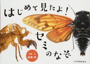 �͂��߂Č�����I�Z�~�̂Ȃ� �^ ���N�ʐ^�V����