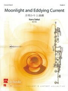 y A ƉQ Moonlight & Eddying Current /Itaru Sakai ^ ()e[k