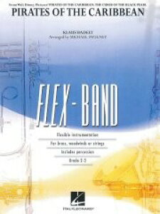 y A tbNX pC[cEIuEJrA`ꂽC Pirates of the Caribbean (FlexBand) / ^ ()e[k