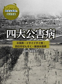 四大公害病 水俣病・イタイイタイ病・四日市ぜんそく・新潟水俣病 ／ 金の星社