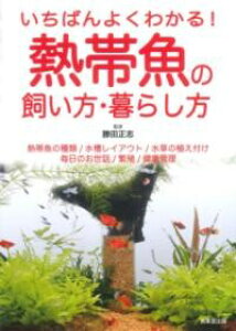 ΂悭킩IMы̎E炵 ^ o