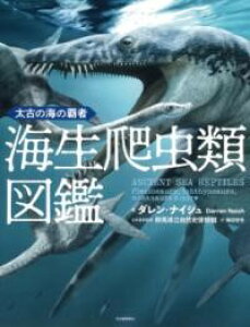 ���Â̊C�̔e�� �C��঒��ސ}�� �^ �͏o���[�V��