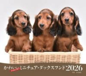 2026NJ_[ 킢~j`AE_bNXth ^ V