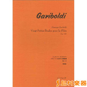 y K{fB t[gE20̏KȏW i132 ^ VtHjA