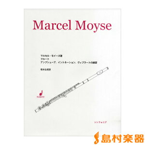 y t[g AuV[AECgl[VEBu[g̗K ^ VtHjA