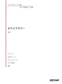 楽天市場 ドライフラワー 楽譜 ピアノの通販