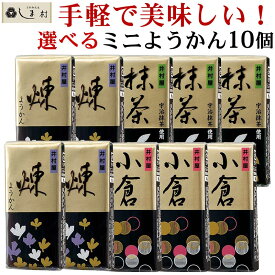 【全品P2倍｜2個購入で2%OFF】「 井村屋 ミニようかん 58g 選べる 10個セット 」 羊羹 ようかん 井村屋 煉 抹茶 小倉 一口羊羹 つめあわせ 1000円ポッキリ 送料無料 メール便 プチギフト 和 スイーツ 一口サイズ ポスト投函便 買いまわり もう一品