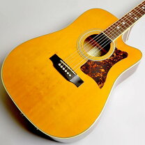 楽天市場】epiphone オール単板の通販