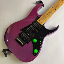 楽天市場】アイバニーズ rg550の通販