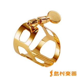 BG L11 GP K`[AgTbNX r[W[