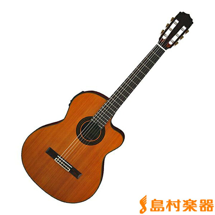 楽天市場】ARIA A-35CE エレガットギター トップ単板 クラシックギター 