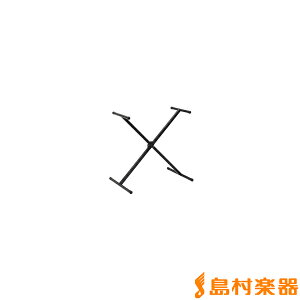 CASIO CS-2X L[{[hX^h JVI CS2X