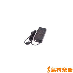 Roland PSB-12U [ AC-33/ AC-40/ BA-55/ CUBE-STEX/KATANA AIR/ KC-110] ACA_v^[ [dR[h] [h NO.5100010587