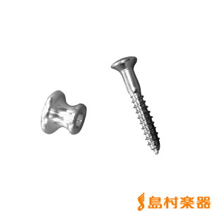 Famous Xgbvs ENp Ghs Vo[ tFC}X