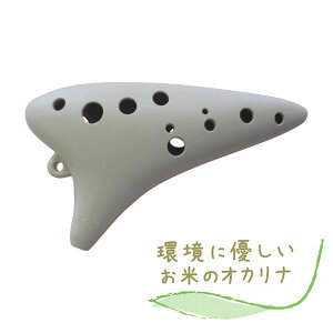 yyVX[p[SALE Gg[P5{z 쏊 ẴIJi AC{[ yAgCz