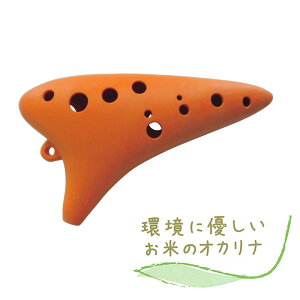 yyVX[p[SALE Gg[P5{z 쏊 ẴIJi IW yAgCz