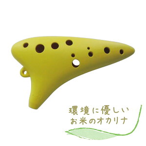 yyVX[p[SALE Gg[P5{z 쏊 ẴIJi CG[ yAgCz