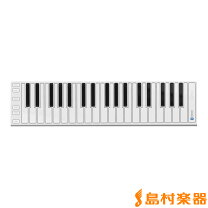 楽天市場】xkey 37の通販