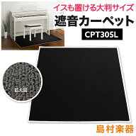 【15日はエントリーでさらにP5倍】EMUL CPT305L 電子ピアノ用 防音／防振／防傷 マット ミルキーブラック…