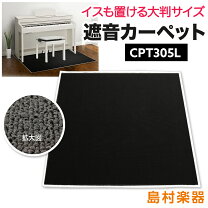 楽天市場】emul 電子ピアノ用 防音マットcpt100mの通販