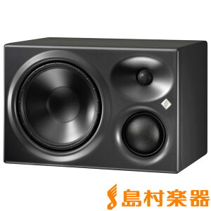 NEUMANN KH 310 ARG �j�A�t�B�[���h ���j�^�[�X�s�[�J�[ �E�p �m�C�}��